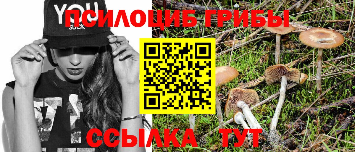 Галлюциногенные грибы Psilocybe  Вход с VPN  Миасс 